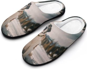 Generic Saint Bernard Dog Funny Mens Cotton Slippers Soft Non-Slip Rubber Sole House Slipper Indoor Outdoor
