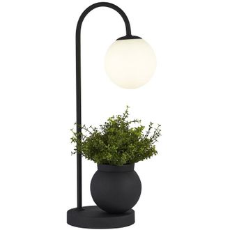 Searchlight Searchlight - Lampada Da Scrivania Contemporanea Lunare Acciaio Nero Vetro Bianco 1 Luce G9