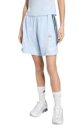 adidas Originals Teamgeist Adicolor Shorts in Crystal Sky/Aurora Ink/White at Nordstrom, Size X-Small