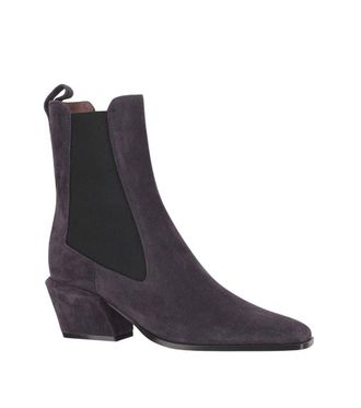PARIS TEXAS Dark Purple Suede Ankle Boots