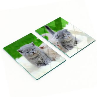 OEM Taglieri Da Cucina In Vetro Con Grafica tre Gatti Su Una Coperta 2x40x52 Cm