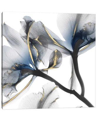 iCanvas Indigo Luster Cyclamen Ii By Albert Koetsier Wall Art