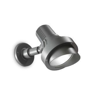 Netlighting Terra 1 Light Outdoor Large Wall Light Anthracite IP65 E27 in Black