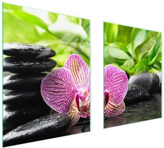 OEM Placa Protectora De Vidrio Para Estufa 85x52 Orqu&iacute;dea