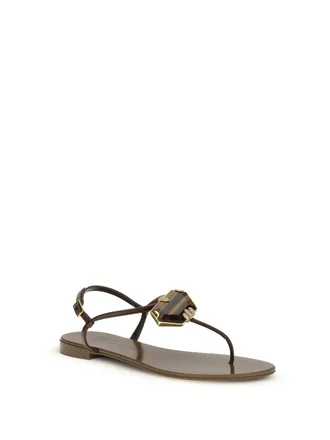 Giuseppe Zanotti Sandals - Brown