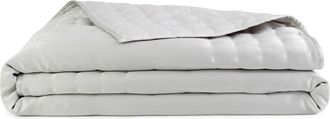 DKNY Hammered Silk & Cotton Blend Quilt in Platinum at Nordstrom, Size Queen