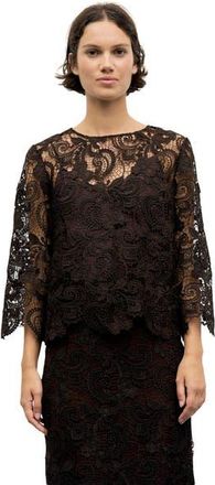 Gerard Darel Lisou Lace Top in Brown at Nordstrom, Size 14