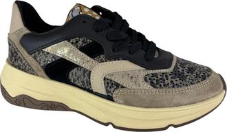 Floris Van Bommel Donna, Scarpe, Marrone, 39 EU, new