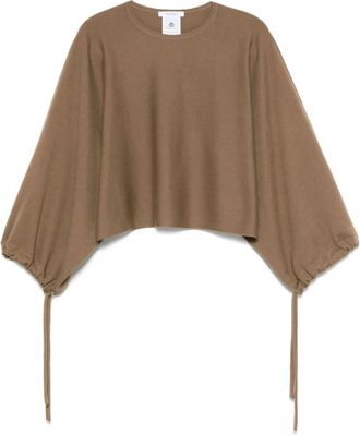Max Mara Truien & Vesten, Dames, Bruin, S, Frais Sweater