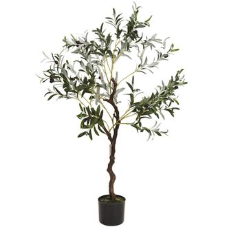 OEM Olivo En Una Maceta Grande, 120 Cm