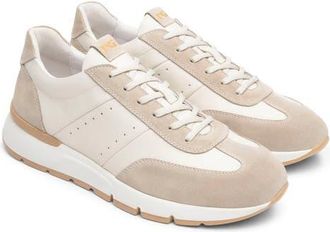 Nero Giardini Low Top Trainer Sneaker in Beige/Taupe at Nordstrom, Size 8-8.5Us