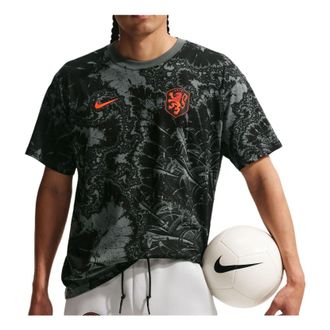 Nike Netherlands 2026 T-Shirt Iron Grey IQ2266-068