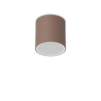 Netlighting Techo 15.3cm Outdoor Surface Mounted Downlight Coffee IP54 in Brown