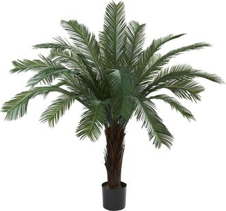 Nearly Natural 5Ft Indoor/Outdoor Uv-Resistant Cycas Tree