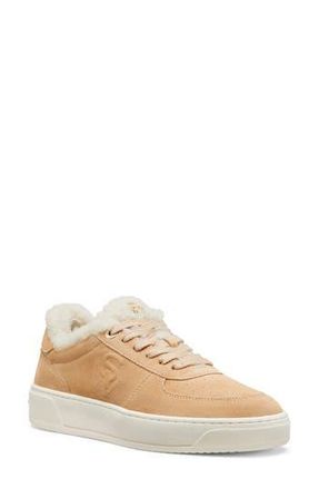 Stuart Weitzman Courtside Genuine Shearling Sneaker in Adobe/Butter at Nordstrom Rack, Size 6