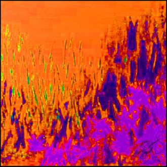 Rosemary Goodenough Planting in Drifts IV Silk Scarf