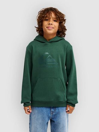 Quiksilver Comp Logo Kids Hoodie groen
