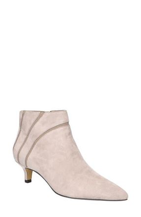 Bella Vita Faraday Pointed Toe Kitten Heel Bootie in Stone Kidsuede Leather at Nordstrom, Size 6.5