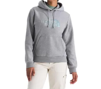 The North Face Evolution Regenerative Ink Half Dome Hoodie In Pale Grey Heather