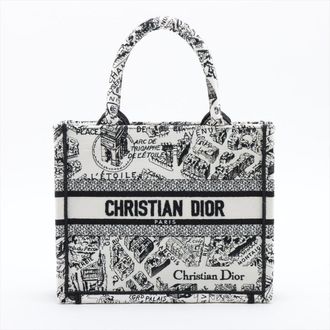 Dior Small Canvas Book Tote