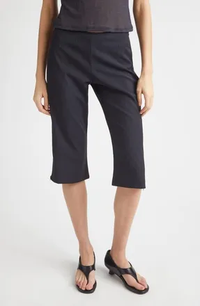 Paloma Wool Lumieti Pinstripe Side Zip Capri Pants in Dark Grey at Nordstrom, Size 12 Us