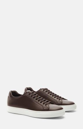 Scarosso Ugo Sneakers in Dark Brown - Calf at Nordstrom, Size 40.5