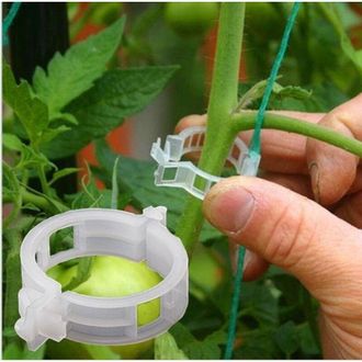 OEM 100 Pinzas Para Enredaderas, Pinzas Colgantes, Pinzas Para Plantas Verdes, Pinzas Para Fijar Enredaderas, Pinzas Para Fijar Pimientos Y Berenjenas, Pi