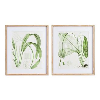 Napa Home & Garden Aquatic Leaf Prints, Set Of 2 in Green at Nordstrom, Size Medium