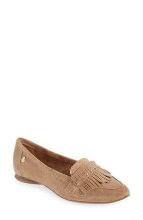 Bottero Botjoya Pointed Toe Flat in Beige at Nordstrom, Size 10