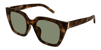 Saint Laurent SL M143 003 Womens Sunglasses Tortoiseshell Size 51 - Free RX Lenses - Free RX Lenses