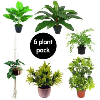 Leaf Pack of 6 Artificial Mixed Plants in Green