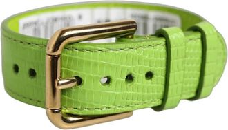 Dolce & Gabbana Cintur&oacute;n de Piel con Estampado de Lagarto - Accessories - Mujer - Verde - ONE SIZE