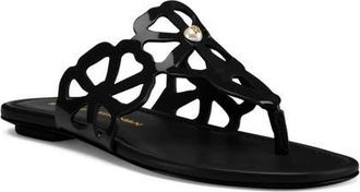 Stuart Weitzman Jasmine Cutout Sandal in Black at Nordstrom, Size 11