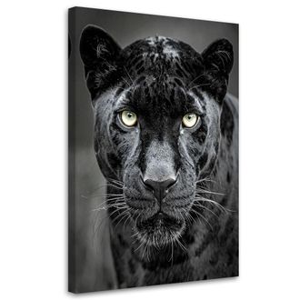 Feeby Cuadro Sobre Lienzo, Pantera Negra Animales Naturaleza, 80x120