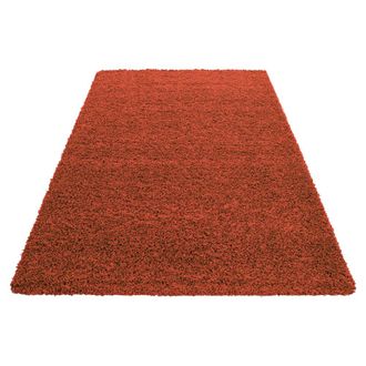 Nazar Rugs Alfombra de interior de pelo largo Terracota-100x200