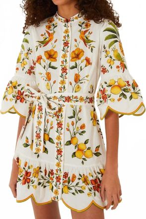 Farm Rio Lemon Bouquet Belted Dress In Off White