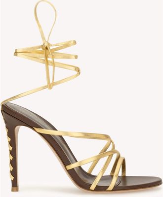 Gianvito Rossi Zaira 105 Sandal in Gold Leather at Nordstrom, Size 37