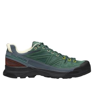 Salomon Fitness, Heren, Groen, 43 1/3 EU, Leer, X-Alp Leather