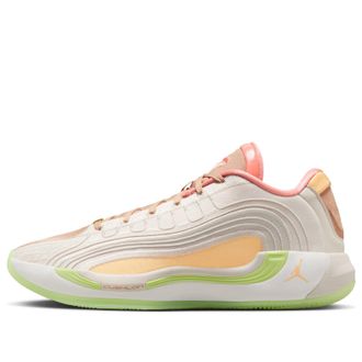 Nike Jordan Air Jordan Luka 4 PF Net IO0198-100