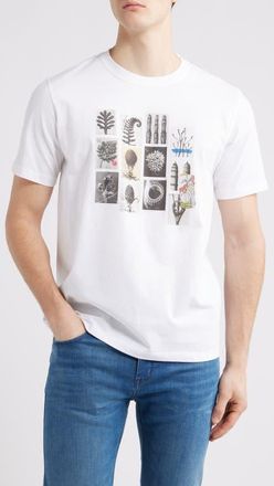 Paul Smith Regular Fit Desert Organic Cotton Graphic T-Shirt in White at Nordstrom, Size Small