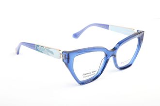 Ana Hickmann Optical Frame AH6597 T01 52