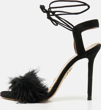 Charlotte Olympia Salsa