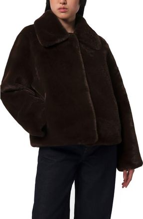 Apparis Elis Pluche Faux Fur Coat in Espresso at Nordstrom, Size Xx-Large