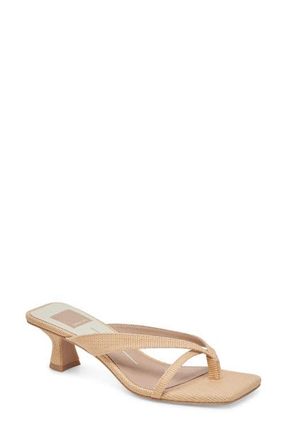 Dolce Vita Brevel Kitten Heel Flip Flop in Natural Raffia at Nordstrom, Size 7.5