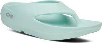Oofos Gender Inclusive OOriginal Flip Flop in Mint at Nordstrom, Size 11