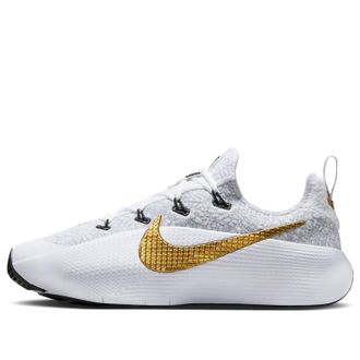 Nike LeBron TR 1 Wolf Grey Metallic Gold FJ6151-006