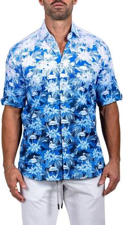 Maceoo Galileo Marthy Short Sleeve Button-Up Shirt in White Blue at Nordstrom, Size 4