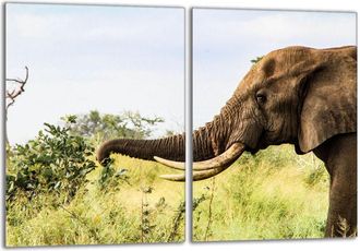 OEM Placa Protectora De Vidrio Para Estufa 2x40x52 Elefante