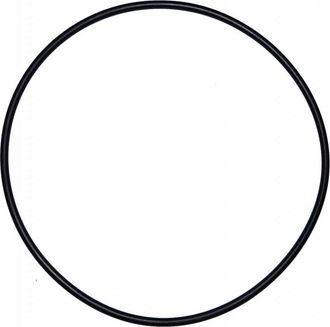 AquaLuxBad Junta T&oacute;rica De 200 Mm De Di&aacute;metro Para El Antiguo Modelo De C&uacute;pula Filtrante De Calpas (d.195 Mm)