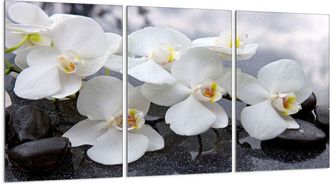 OEM Placa Protectora De Vidrio Para Estufa 3x30x52